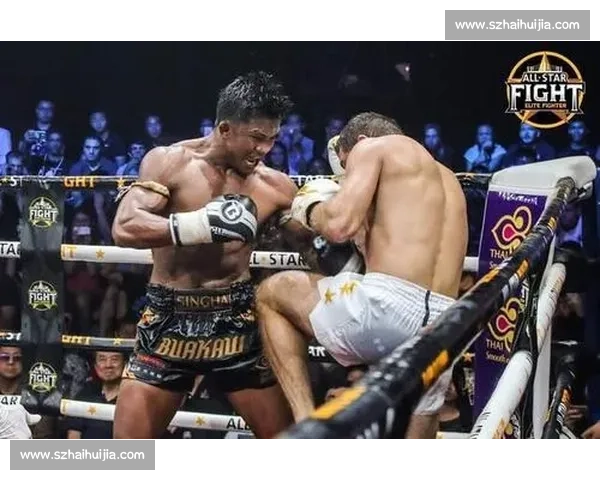 播求对决乔治巅峰泰拳与踢拳王者时代之战荣耀传奇终极较量风云